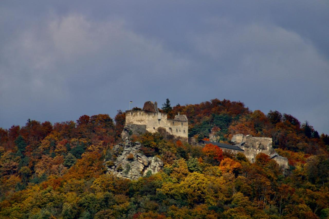 Ferienwohnung HAUS-DONAU in der Wachau Aggsbach Exterior foto